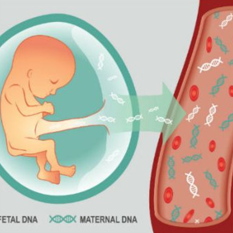 Kết quả NIPT dương tính giả cho mẹ biết điều gì?