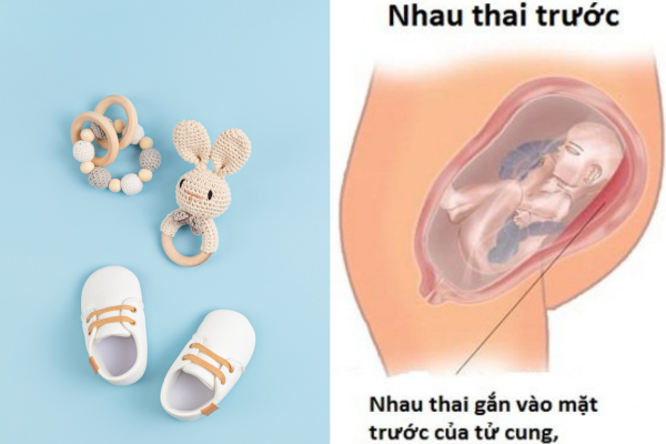 Nhau bám mặt trước là con trai hay con gái?