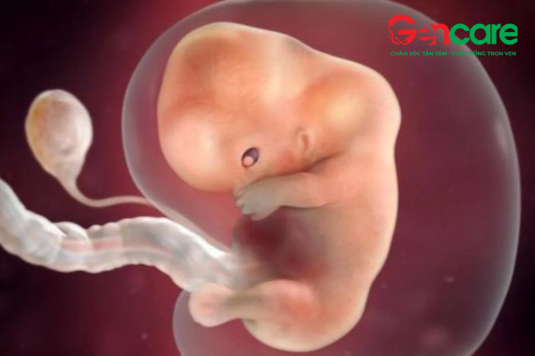 xét nghiệm ADN huyết thống trước sinh không xâm lấn ngay từ tuần thai thứ 7